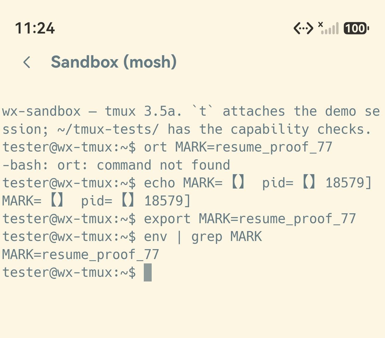 一个名为 Sandbox (mosh) 的会话：export MARK=resume_proof_77 之后，env | grep MARK 打印出 MARK=resume_proof_77。状态栏时间 11:24。