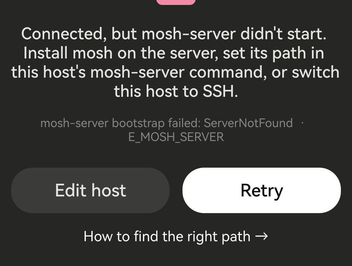 Term 的连接界面：「已连接，但 mosh-server 未启动」、细节行 mosh-server bootstrap failed: ServerNotFound、「编辑主机」和「重试」按钮，以及一条「如何找到正确的路径」链接。