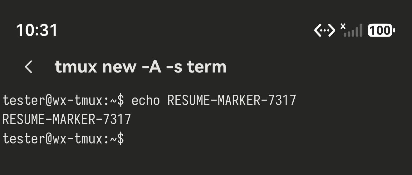 标题为 tmux new -A -s term 的会话，屏幕上是 echo RESUME-MARKER-7317 和它的输出，状态栏时间 10:31。
