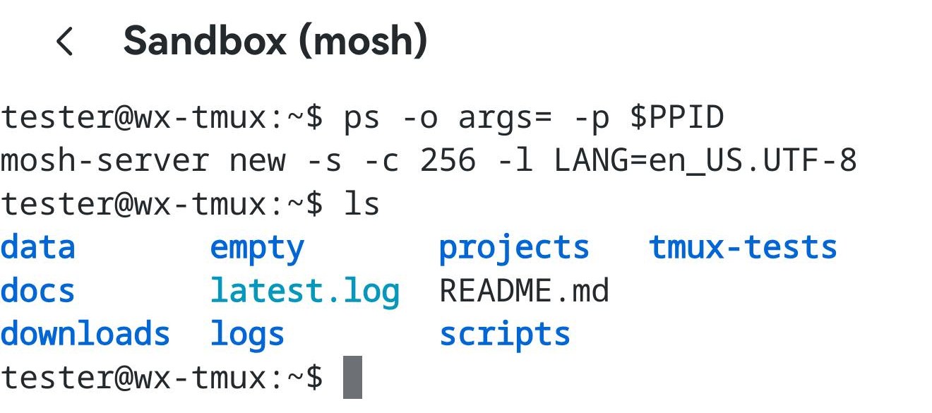 一个 mosh 会话里，ps -o args= -p $PPID 的输出是 mosh-server new -s -c 256 -l LANG=en_US.UTF-8。